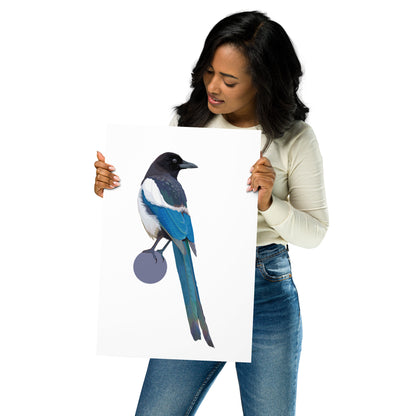 Black-Billed Magpie Matte Poster