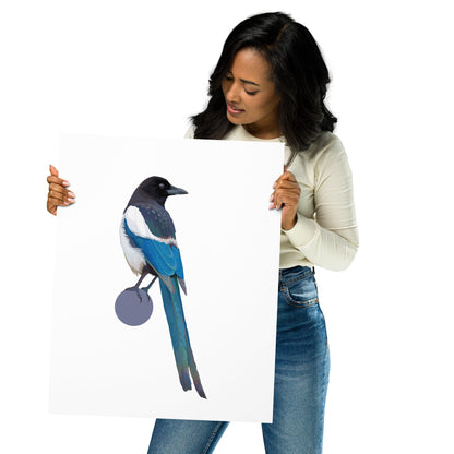 Black-Billed Magpie Matte Poster