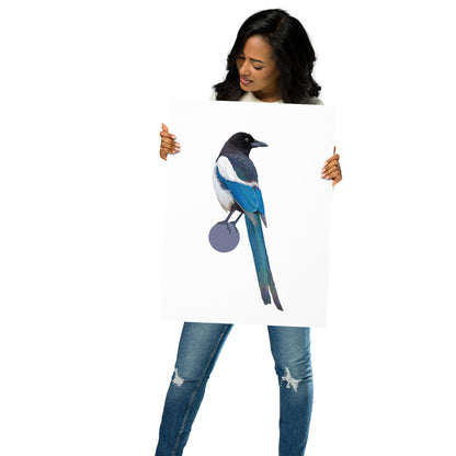 Black-Billed Magpie Matte Poster