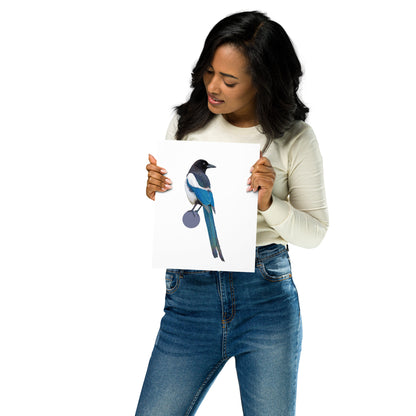 Black-Billed Magpie Matte Poster